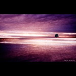 Meet your Posher, Lea